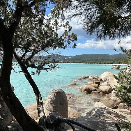 Maisonnette De Standing A 200m De La Plage De Santa Giulia