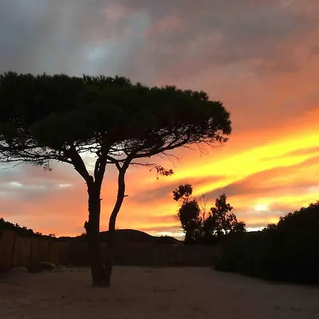 Villa Maisonnette De Standing A 200m De La Plage De Santa Giulia